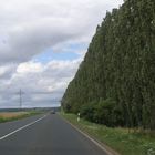 Thüringer Wald, nähe Bad Sulza