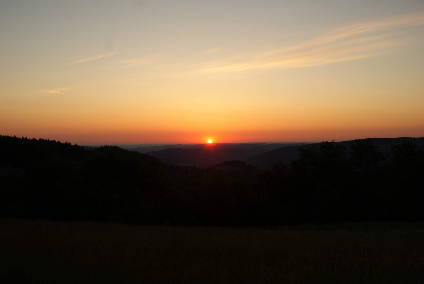 Thüringer Wald pur