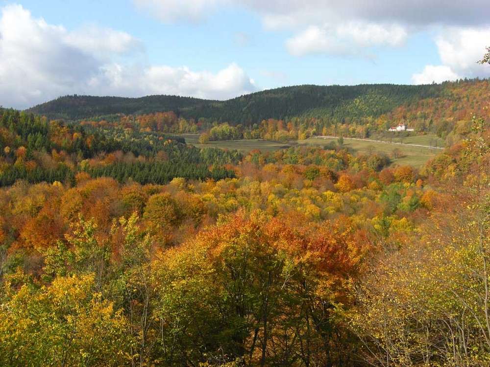 Thüringer Wald um Schwarzburg