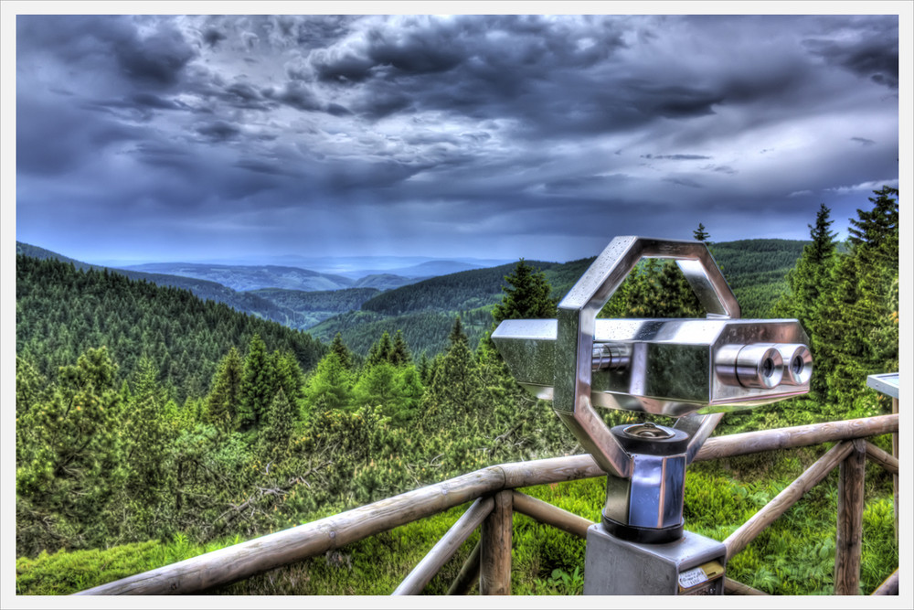 Thüringer Wald vom Rennsteiggarten