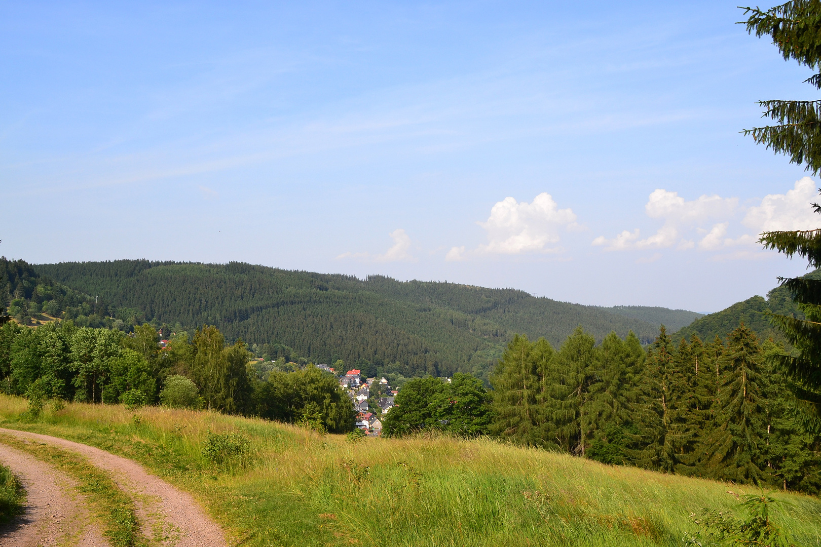 Thüringer Wald Weg