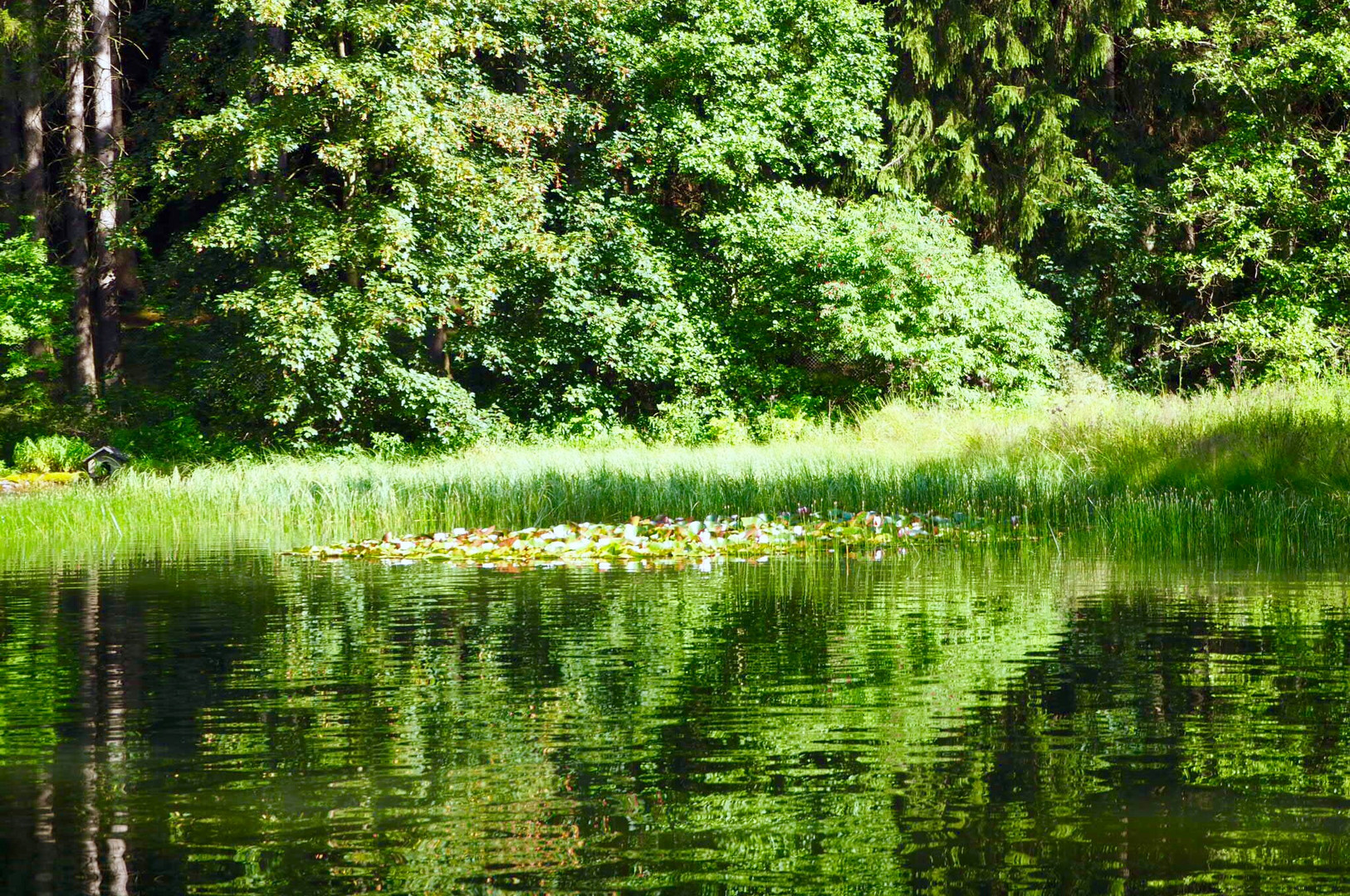 Thüringer Waldsee