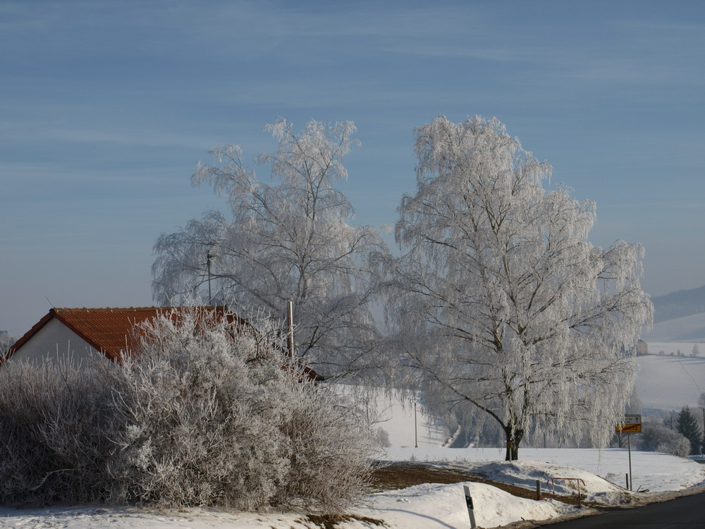 Thüringer Winter 4