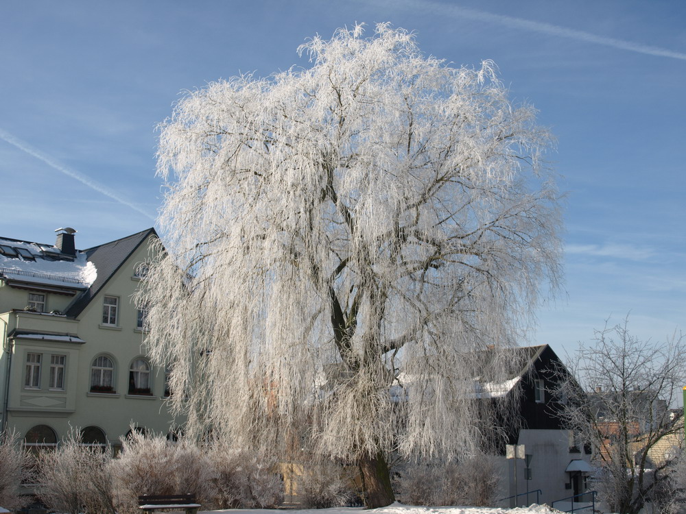 Thüringer Winter 6