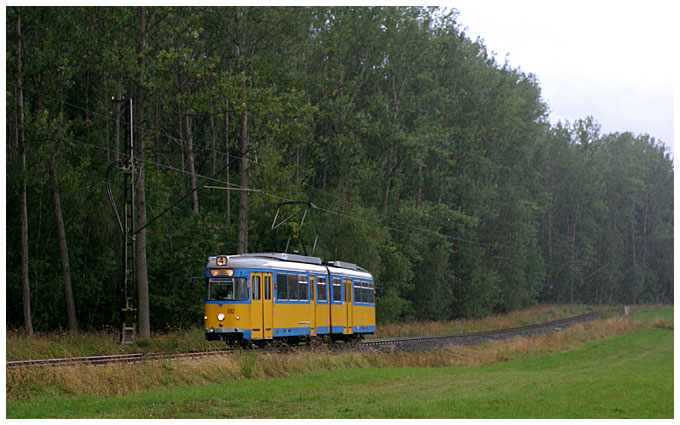 Thüringerwaldbahn [1] - Strömender Regen am Boxberg