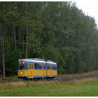 Thüringerwaldbahn [1] - Strömender Regen am Boxberg