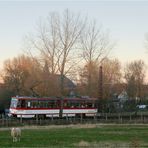 Thüringerwaldbahn [22] - Schäfchen