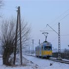 Thüringerwaldbahn [24] - Wahlwinkel