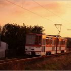 Thüringerwaldbahn [3] - Abendsonne
