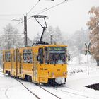 Thüringerwaldbahn: 319 (SL 4)