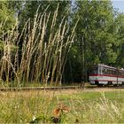 Thüringerwaldbahn [43] - Am Boxberg