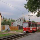 Thüringerwaldbahn [51] - Mutige Überquerung