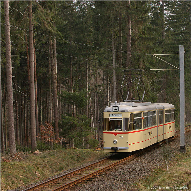 Thüringerwaldbahn [67] - Im dichten Wald