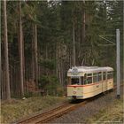 Thüringerwaldbahn [67] - Im dichten Wald