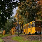 Thüringerwaldbahn [*75*] - Gelbsucht?