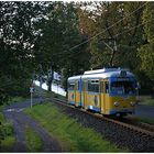 Thüringerwaldbahn [8] - Tabarz