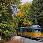 Thüringerwaldbahn . Herbstfarben