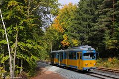 Thüringerwaldbahn . Herbstfarben