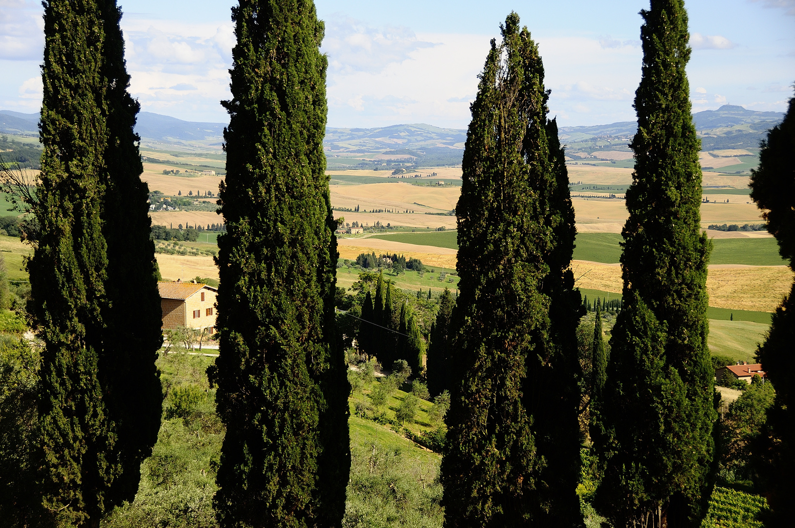 Thujen versperren den Blick von Pienza ins Tal