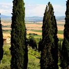 Thujen versperren den Blick von Pienza ins Tal