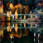 Thumsee Bad Reichenhall