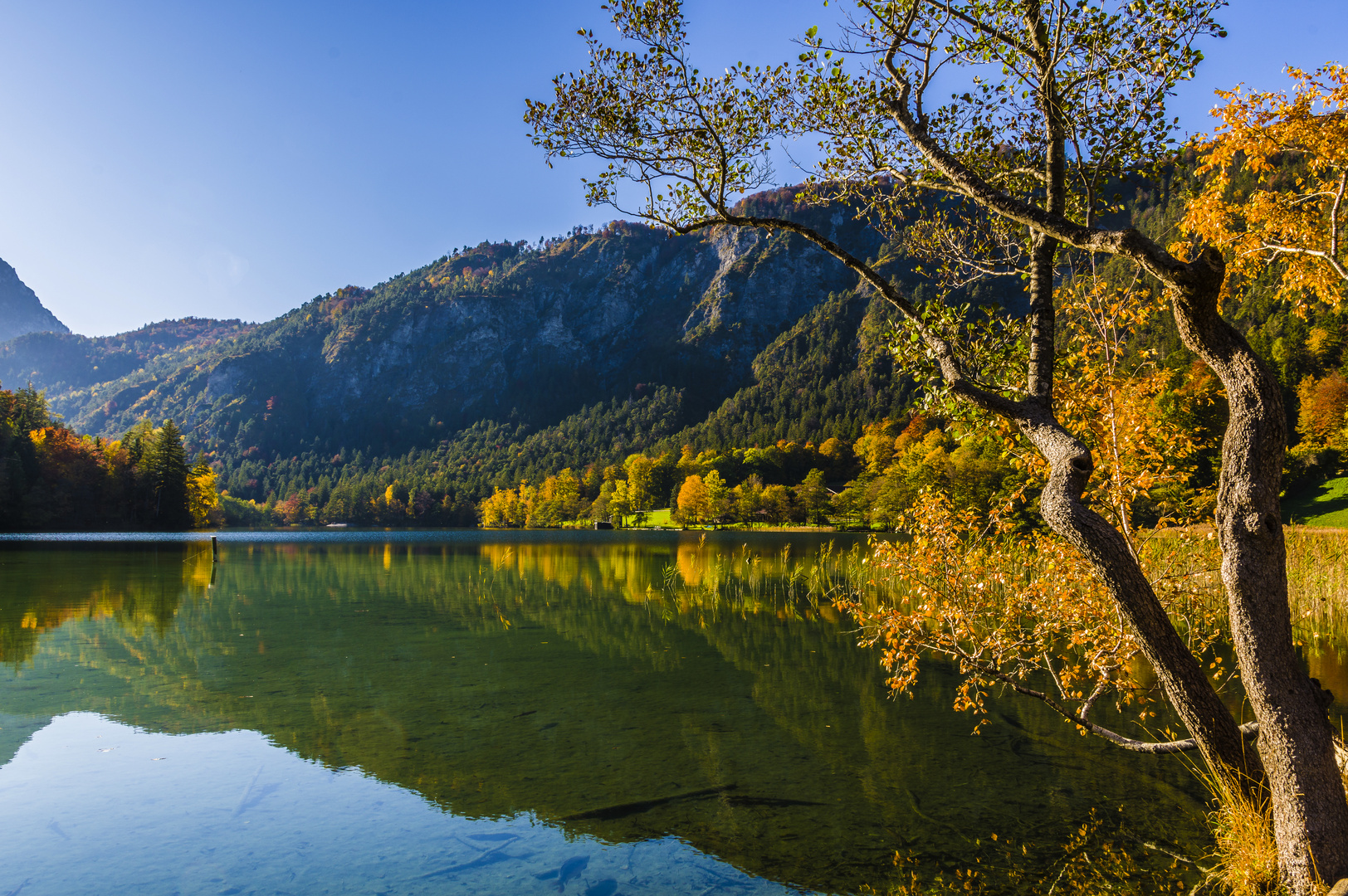 Thumsee im Herbst