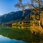 Thumsee im Herbst