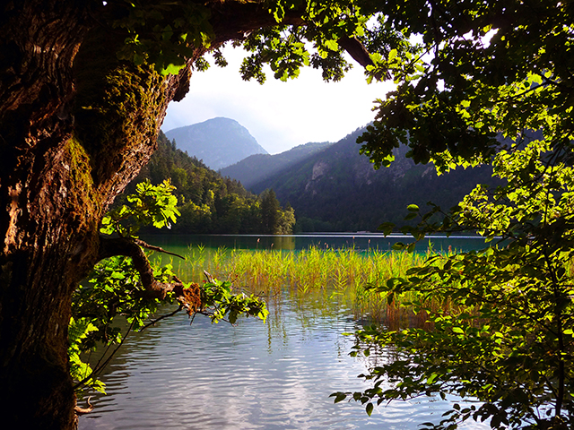 Thumsee_Berchtesgadener Land