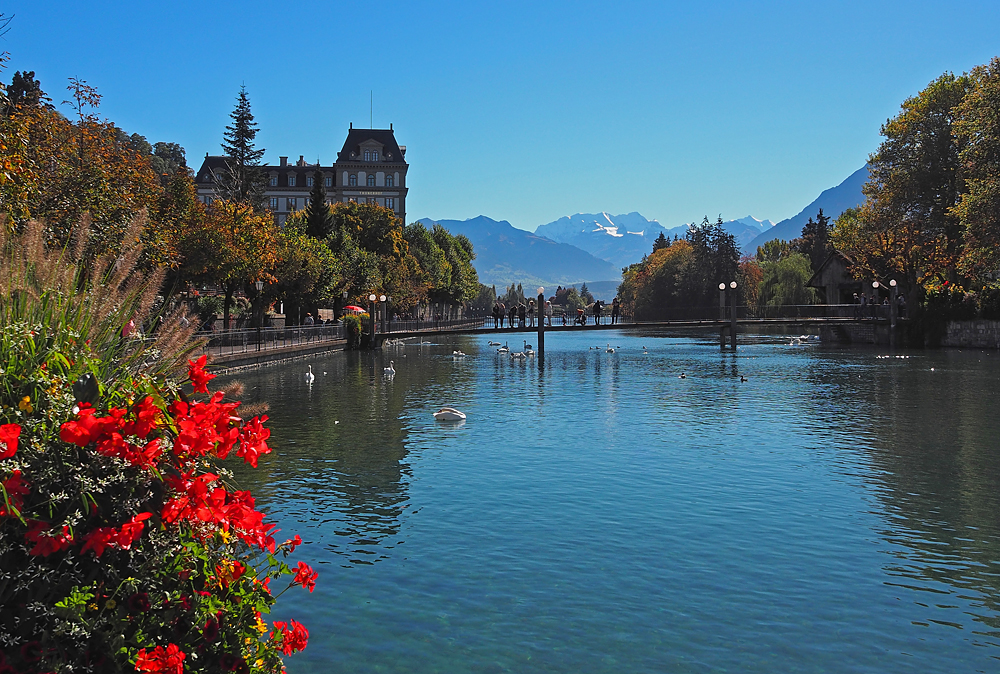 Thun / Schweiz / Berner Oberland..