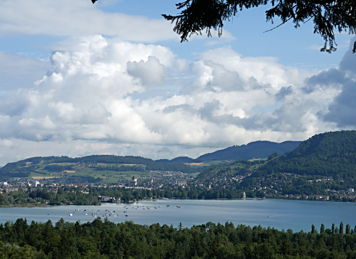 Thun und Thunerhafenbecken