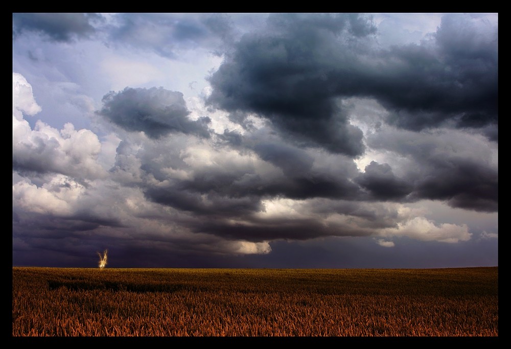 ~ Thunder and Rain ~