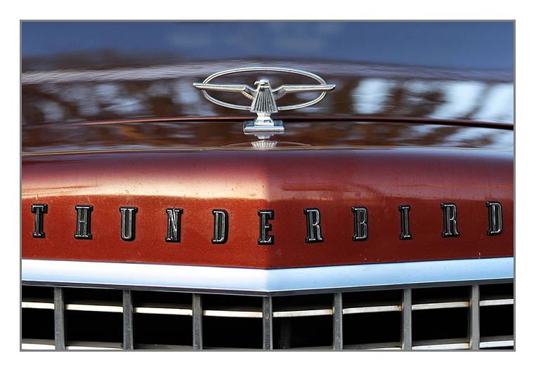 Thunderbird