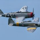 Thunderbolt - Sea Fury