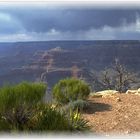 Thunderstorm am Grand Canyon