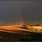 Thunderstorm harbinger