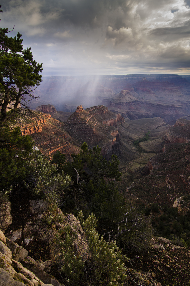 Thunderstorm in the Grand Canyon