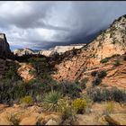 *Thunderstorm over Zion*