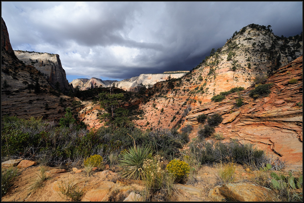 *Thunderstorm over Zion*