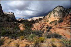 *Thunderstorm over Zion*