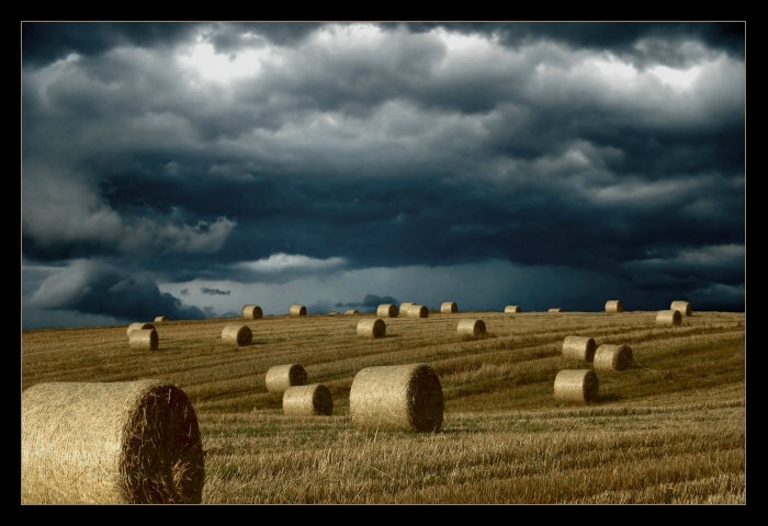 °thundery straw° von Heiko Lix