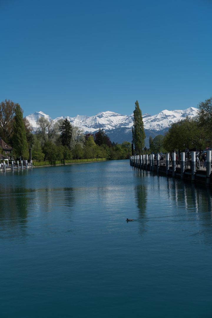 Thuner Hafen (Schweiz)