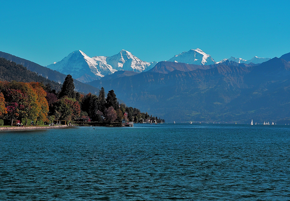 Thuner See / Schweiz / Berner Oberland