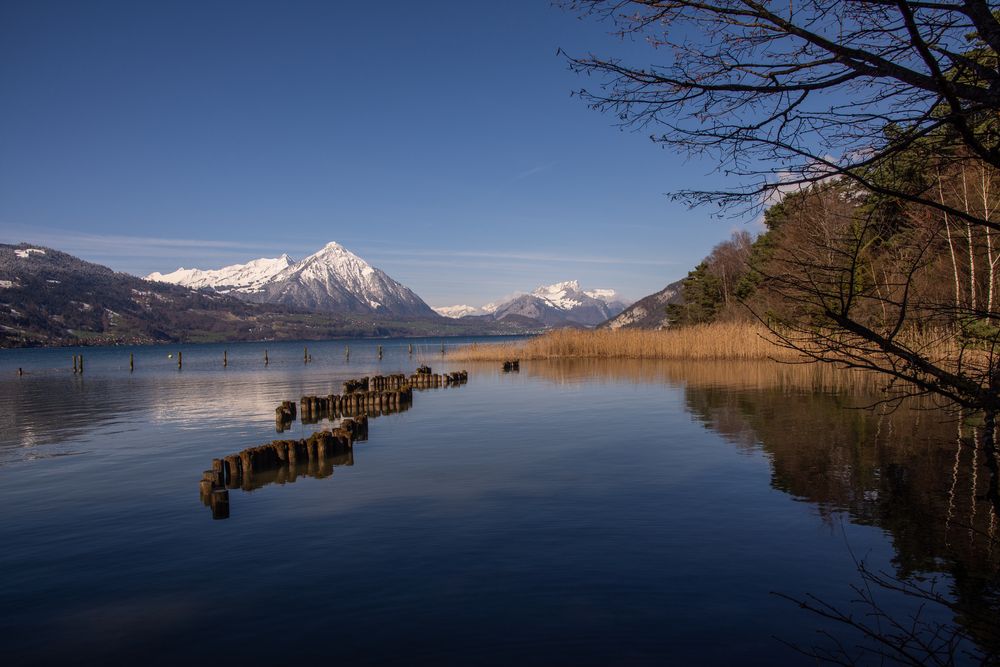 Thunersee 02 Foto & Bild landschaft, jahreszeiten, frühling Bilder