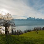 Thunersee 2