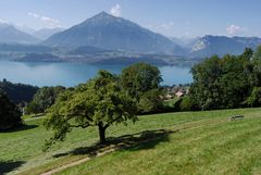 Thunersee