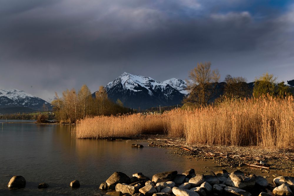 Thunersee Foto & Bild landschaft, jahreszeiten, bach, fluss & see