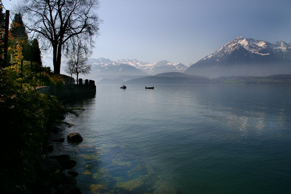 Thunersee 