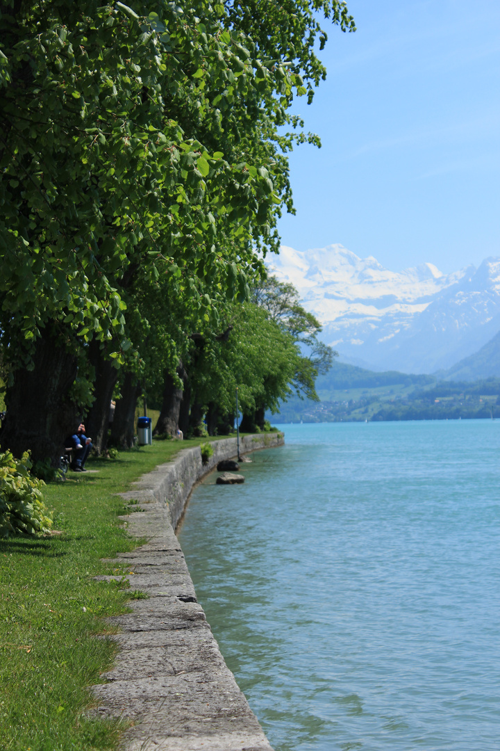 Thunersee