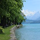 Thunersee