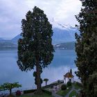 Thunersee